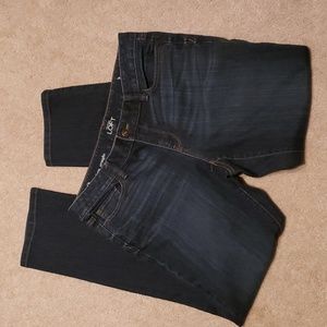 Ann Taylor LOFT Modern Straight jeans
